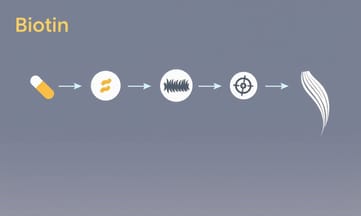 ビオチンが髪の太さや強さにどれほど影響するか確かめてみよう