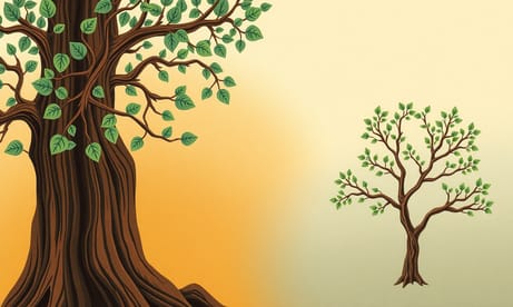 アメリカンオークとタスマニアンオークの違い｜耐久性・コスト・美しさで比較して選ぶ方法