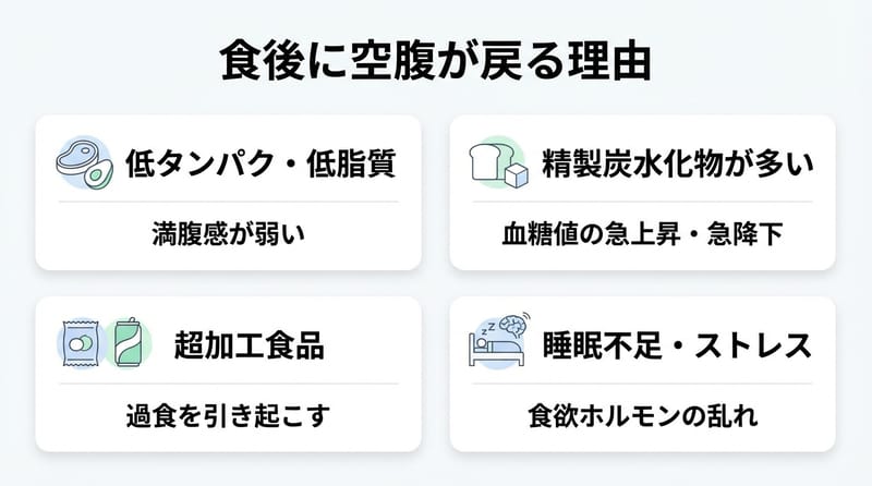 画像案（前段）：食後にまた空腹になる流れの全体像