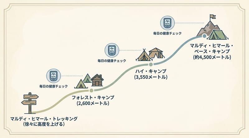 核心機制詳解（高度変化と体調確認のイメージ）