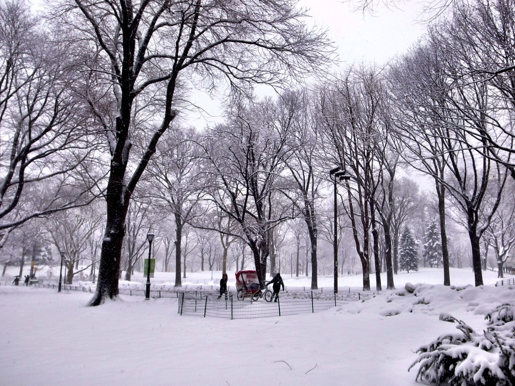 New York Schnee