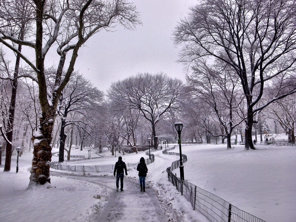 New York Schnee