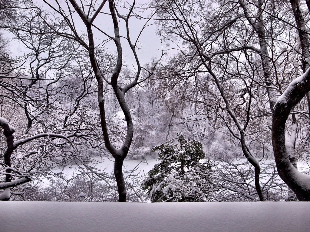 New York Schnee