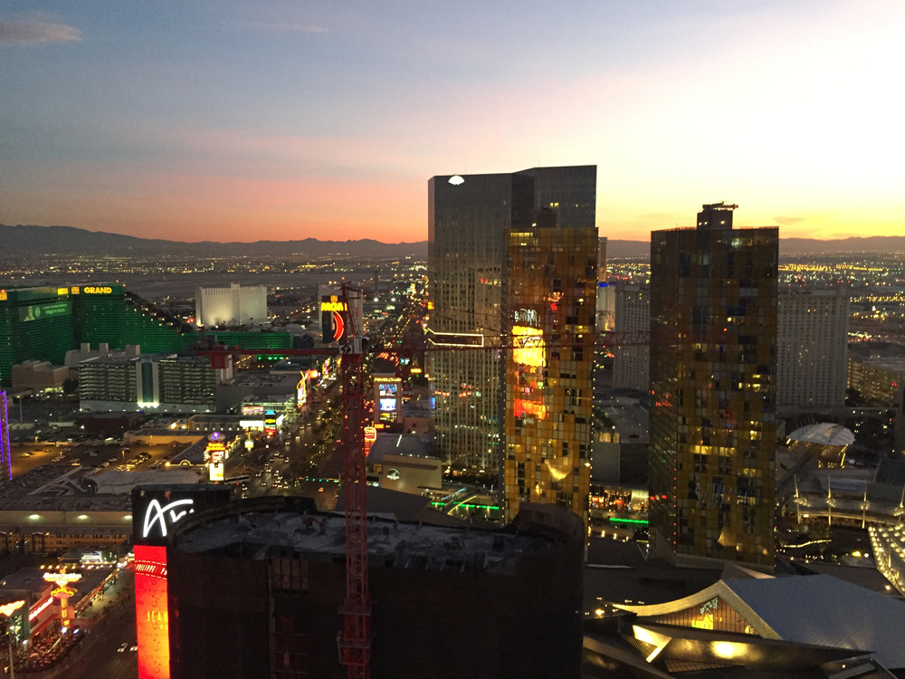 fiene & how i met the ces